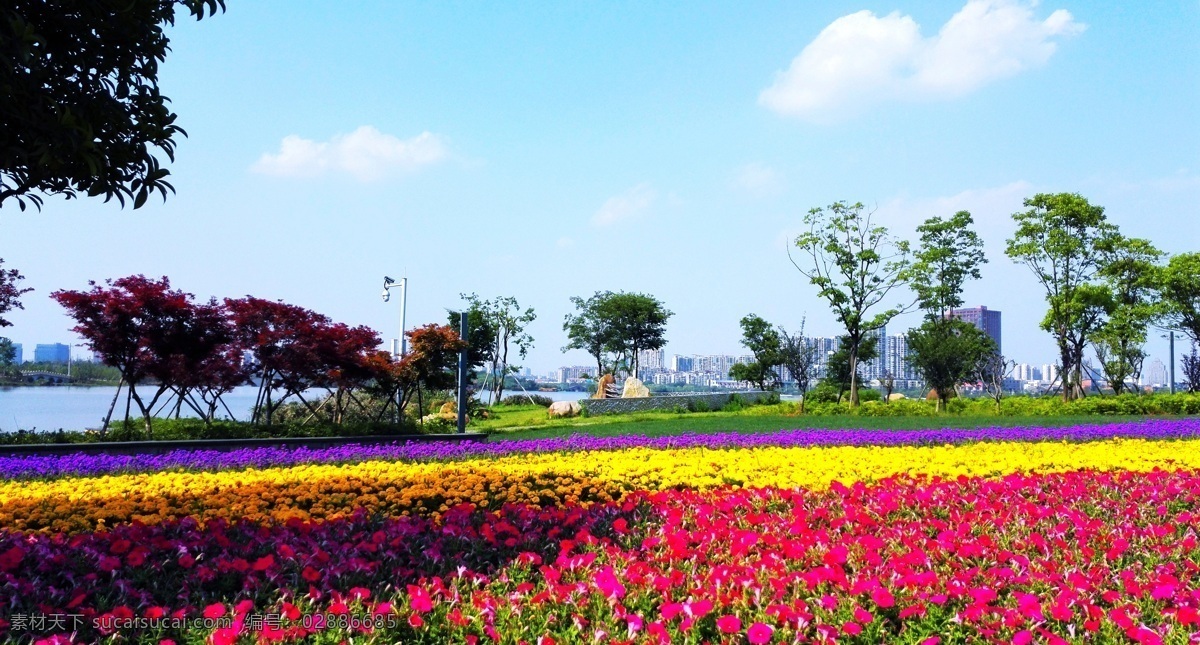 花海 花朵 鲜花 草地 草坪 湖泊 湖水 公园 树木 树荫 蓝天 白云 花草 春天 自然景观 自然风景