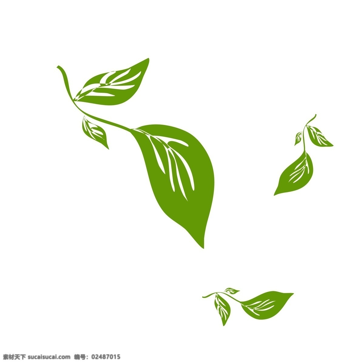 大绿色的叶子 绿色茶叶 叶子 绿叶 动感漂浮 茶叶漂浮免扣 网页漂浮 清新叶子 飘着的叶子
