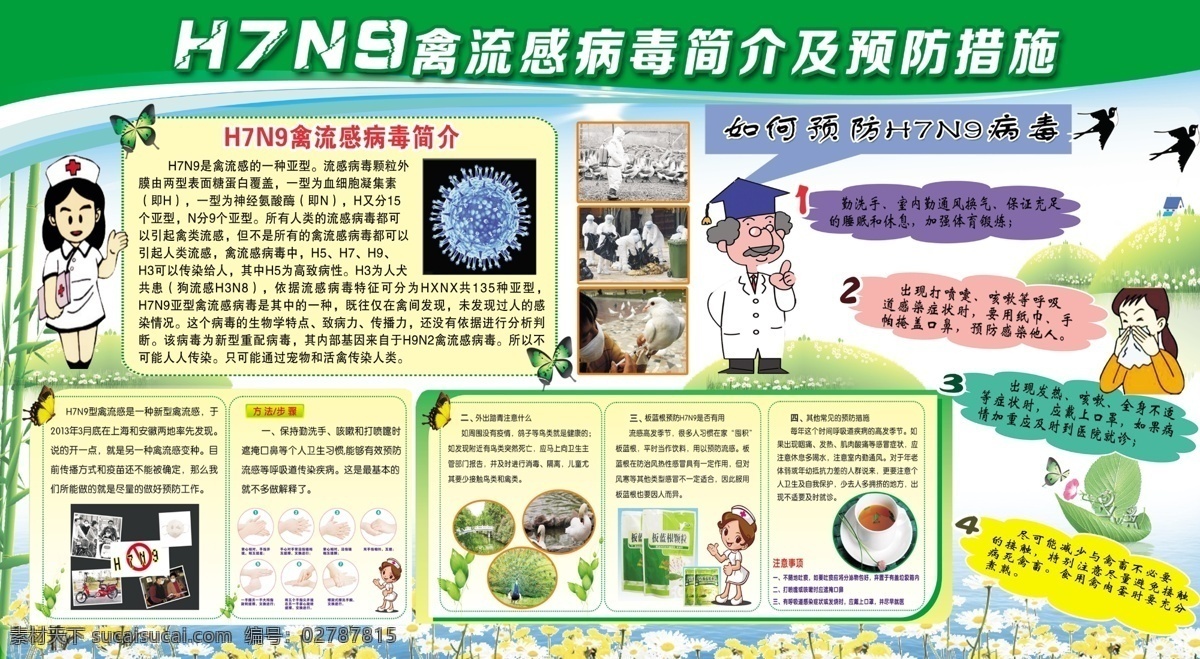 h7n9 禽流感 预防 展 预防禽流感 展板 健康知识 医院展板 要点 如何 制度展板 展板模板 广告设计模板 源文件