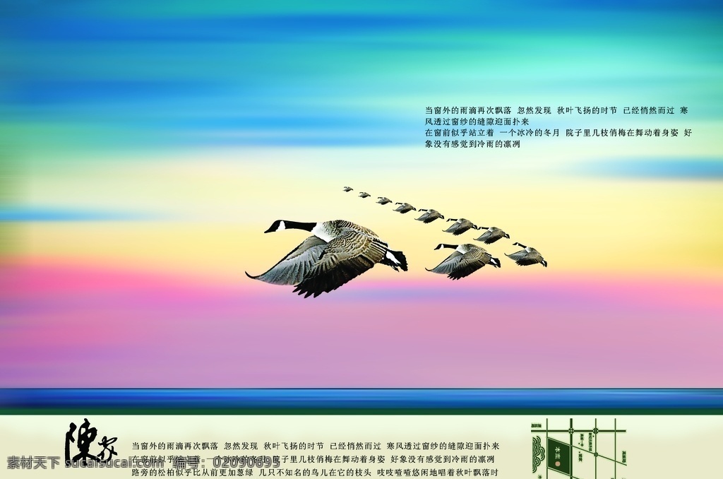 五彩 天空 鸟 飞 宣传海报 鸟飞 宣传 海报
