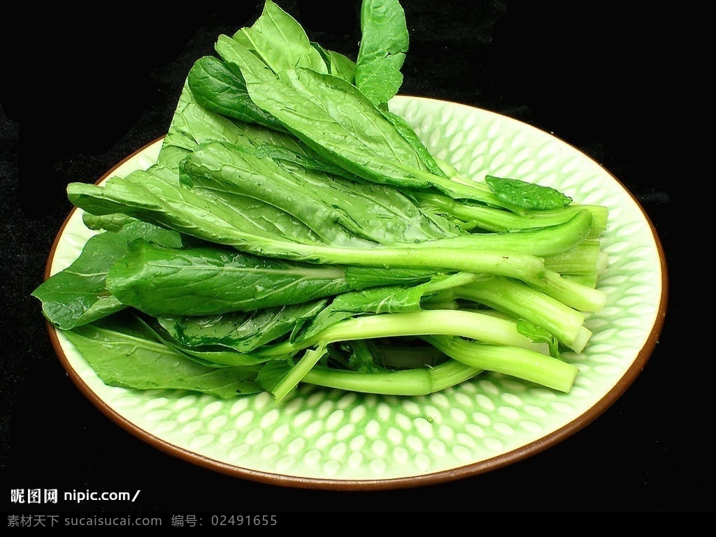 广东菜心 绿色 新鲜 蔬菜 田园 盘子 食物 原料 餐饮美食 食物原料 摄影图库