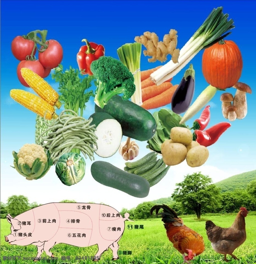 水果 蔬菜 猪肉 鸡 果蔬 猪肉图片 猪肉分析图 鸡素材 果蔬素材 水果素材 蔬菜素材