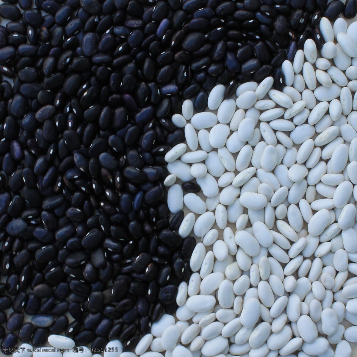 黑白 豆子 融合 背景 黑豆 白豆 黑白豆 黑色 白色 太极融合 生物世界 蔬菜