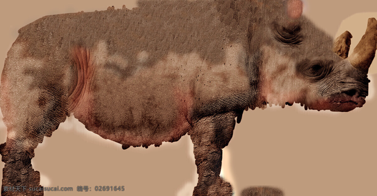 犀牛 rhinoceros 动物模型 陆生动物 3d模型素材 动植物模型