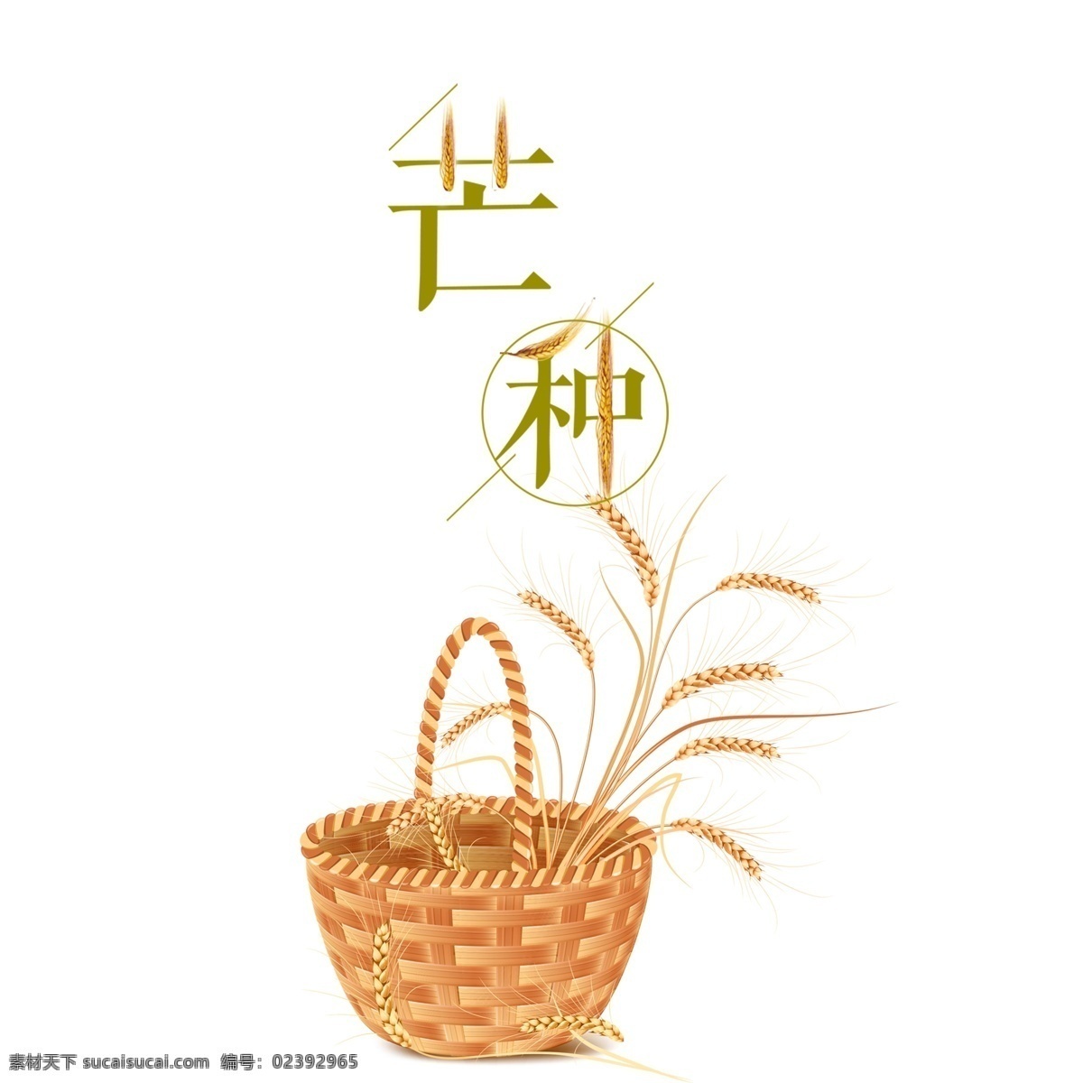 传统节日 芒种 元素 二十四节气 夏天 夏季 中国节气 植物 麦穗 竹篮 麦子 黄色麦穗 粮食