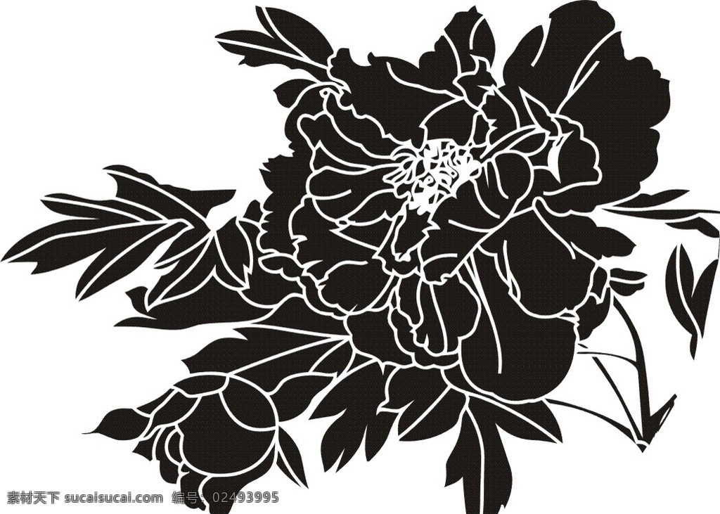 牡丹雕刻图案 牡丹纹 牡丹 纹样 花纹 花 花边 底纹 背景 花边花纹 底纹边框 牡丹系列 包装设计