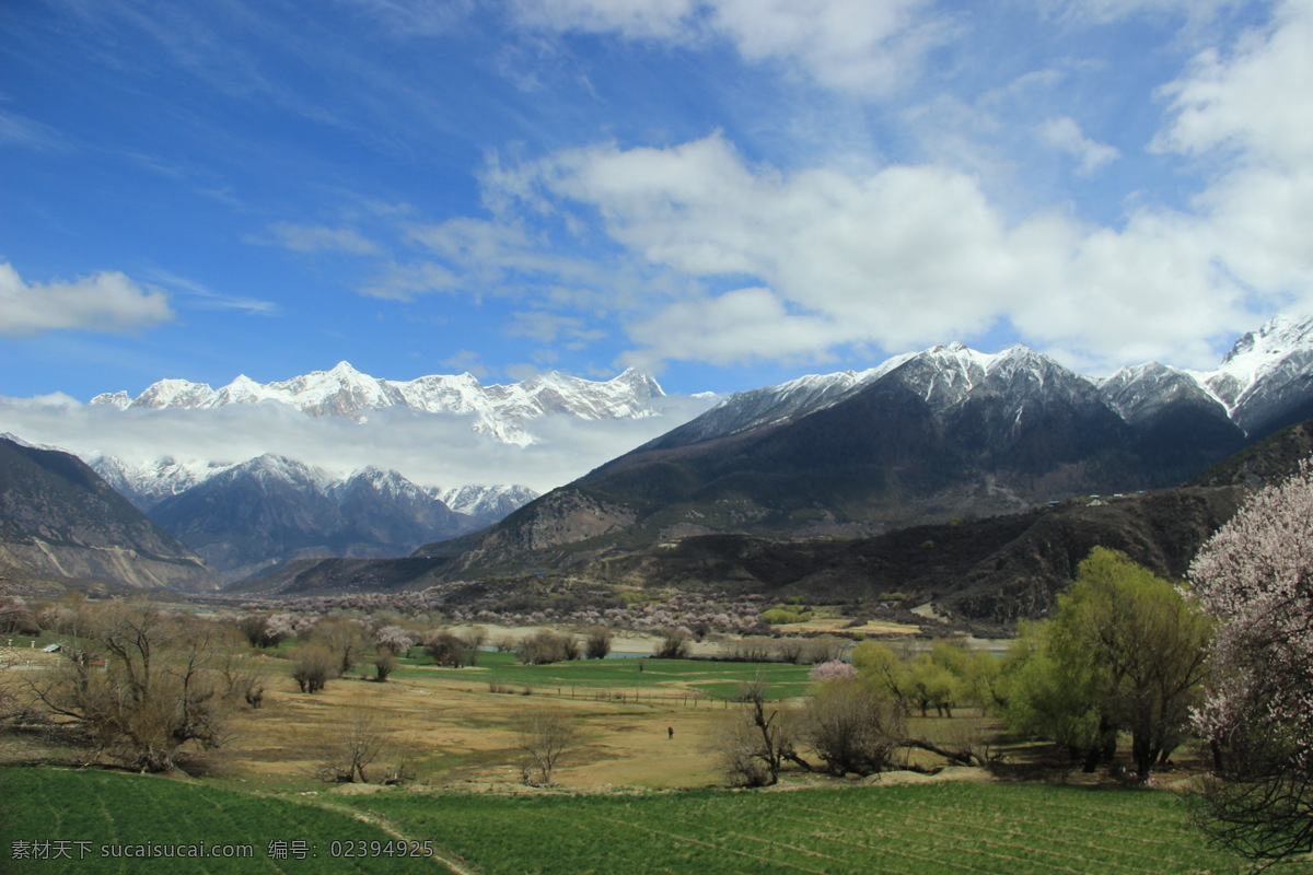 西藏 林芝 鲁朗 森林 雪山 西藏林芝 高原景观 高原美景 无污染 国内美景 风景专辑2 旅游摄影 国内旅游