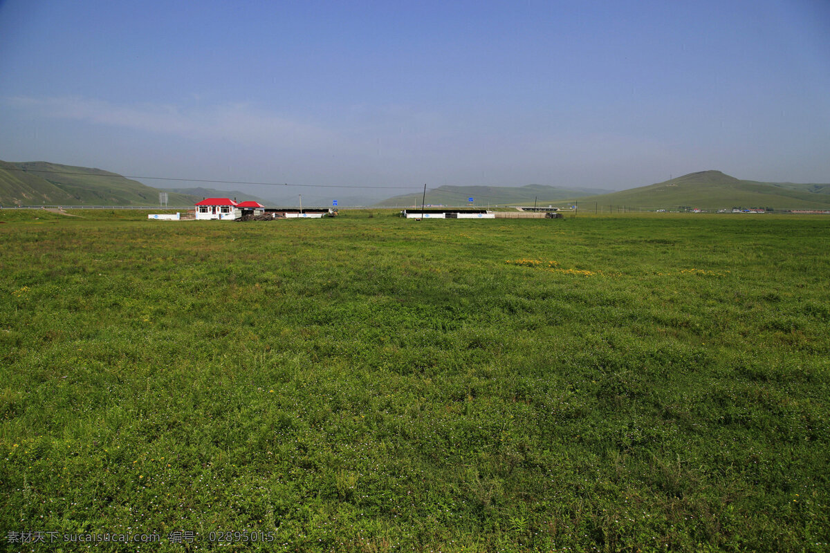 内蒙古 呼伦贝尔草原 风景