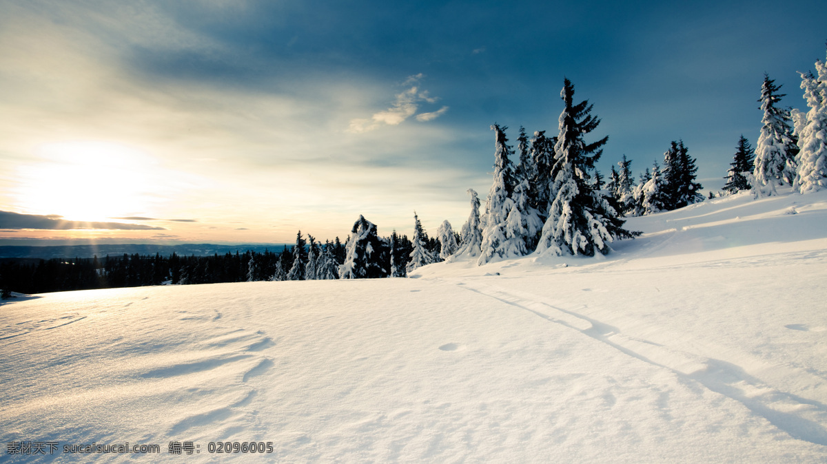 冬季 雪地 风景 高清 冬天 自然 美景