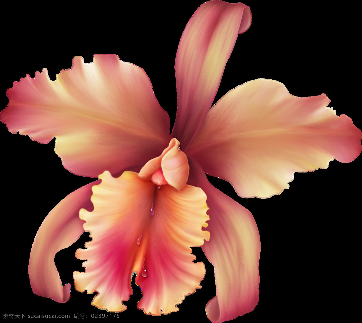 手绘花卉 花卉 鼠绘花 线条花 手绘线条花 鼠绘线条花 花线条 花经脉 彩绘花 欧式手绘花 欧式花设计 手绘装饰画 手绘花无框画 无框画 大花 彩色线条花 手绘花朵 手绘质感花卉 手绘花卉墙纸 复古花卉壁纸 电脑手绘花 花卉插画 花纹理 花朵 花朵纹理 服装花型 鲜花