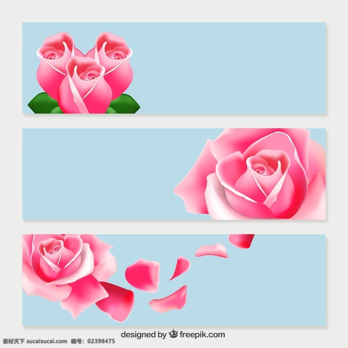 粉红 玫瑰 横幅 旗帜 花 爱情 粉红色 情人节 情人节的浪漫 浪漫 粉红色的玫瑰 白色