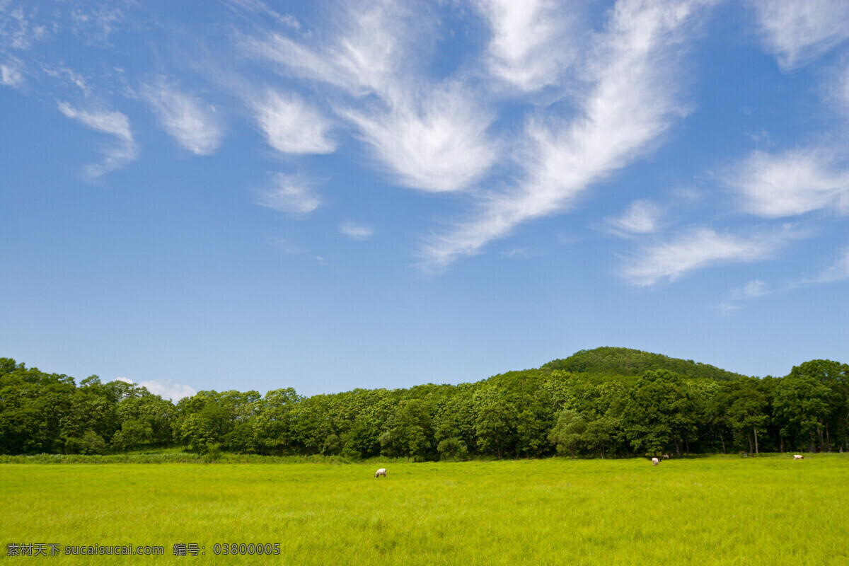 蓝天 草原 白云 春天 远山 嫩绿草原 风景 生活 旅游餐饮