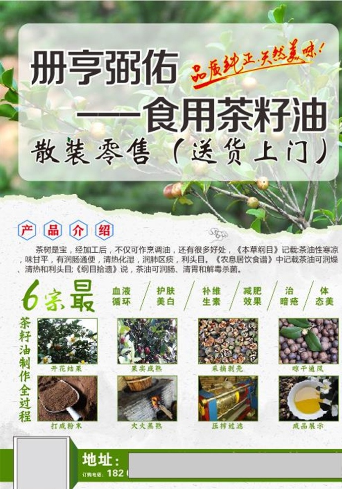 油海报 生茶籽油 茶花 茶仔油 油 野茶籽油