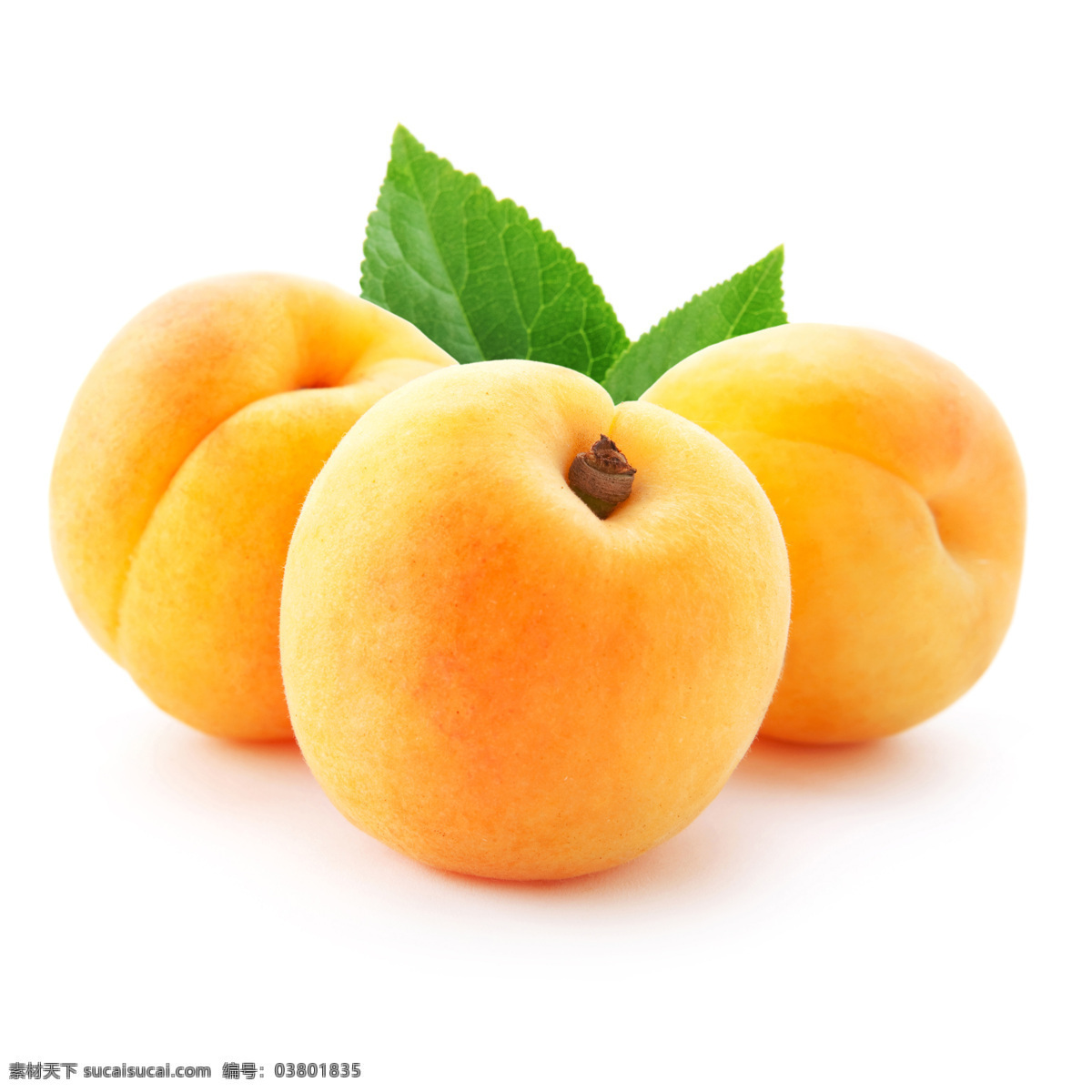 水蜜桃 高清 水果 新鲜 生物世界