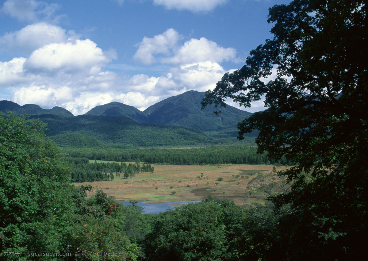 风景免费下载 草坪 风景 花 林荫 群山 山水 树木 田野 云雾 家居装饰素材 山水风景画