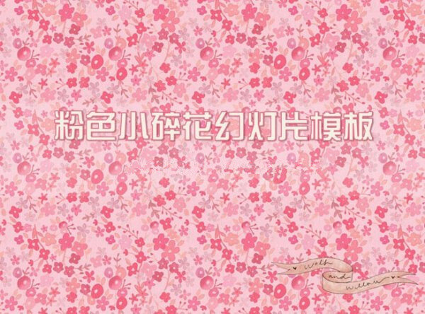 粉色 小花 背景 模板