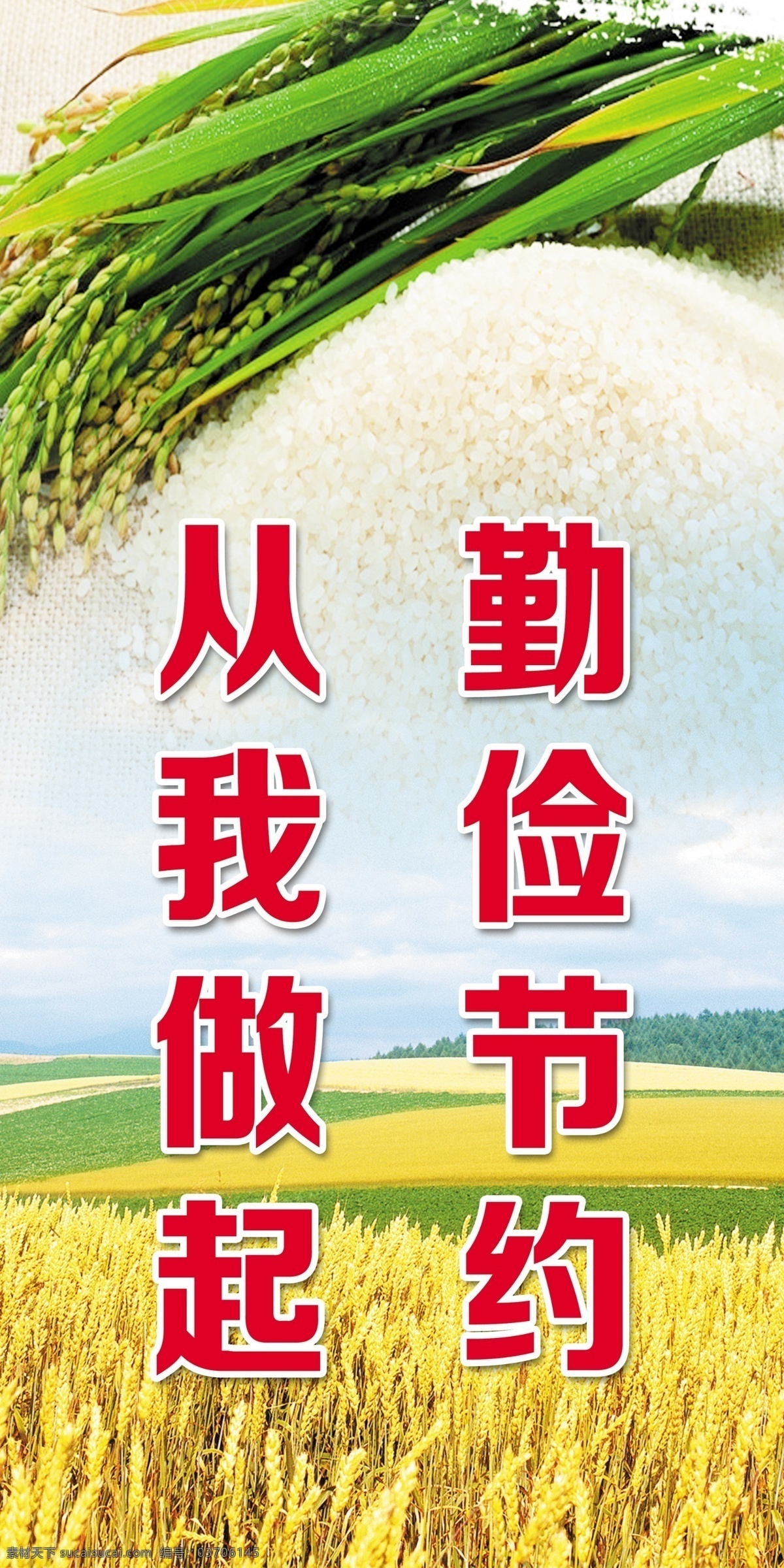 勤俭节约 从我做起 水稻 大米 食堂标语秩序 模版下载 食堂标语 文明标语 餐厅标语 食堂文化 饮食文化 餐厅文化 展板 展板模板