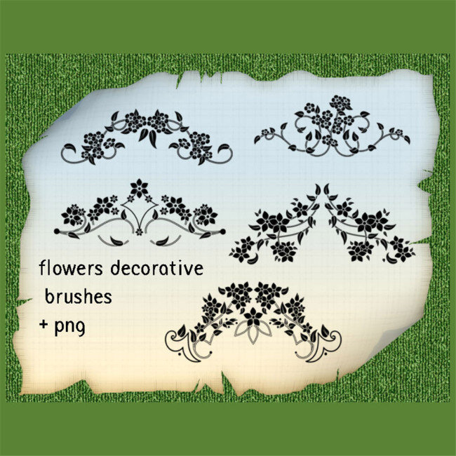 种 漂亮 优雅 艺术 植物 花纹 图案 ps 笔刷 植物花纹笔刷 艺术花纹笔刷 白色