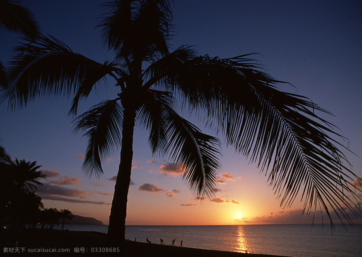 海边 日落 风景 旅游 风景区 夏威夷 夏威夷风光 悠闲 假日 落日 夕阳 热带树 大海图片 风景图片