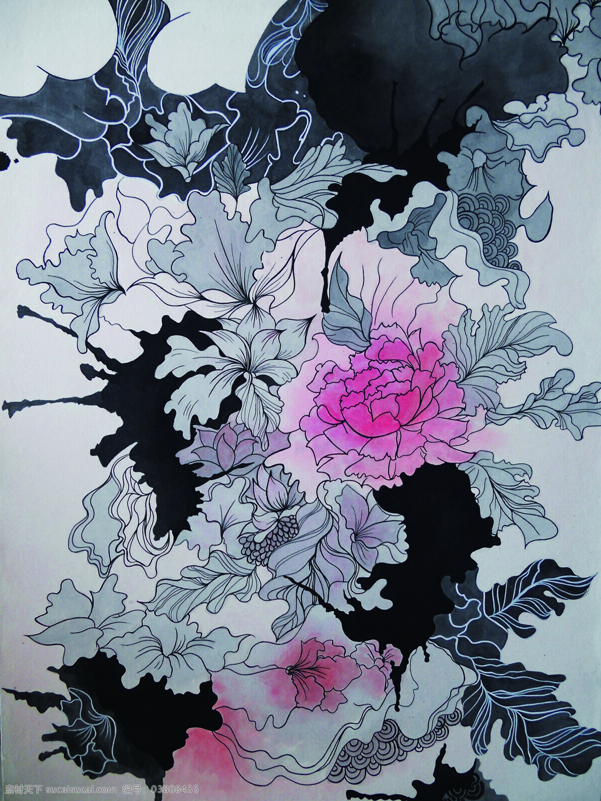 系列 插画 花卉 绘画书法 手绘 文化艺术 系列插画 设计素材 模板下载 枯荣