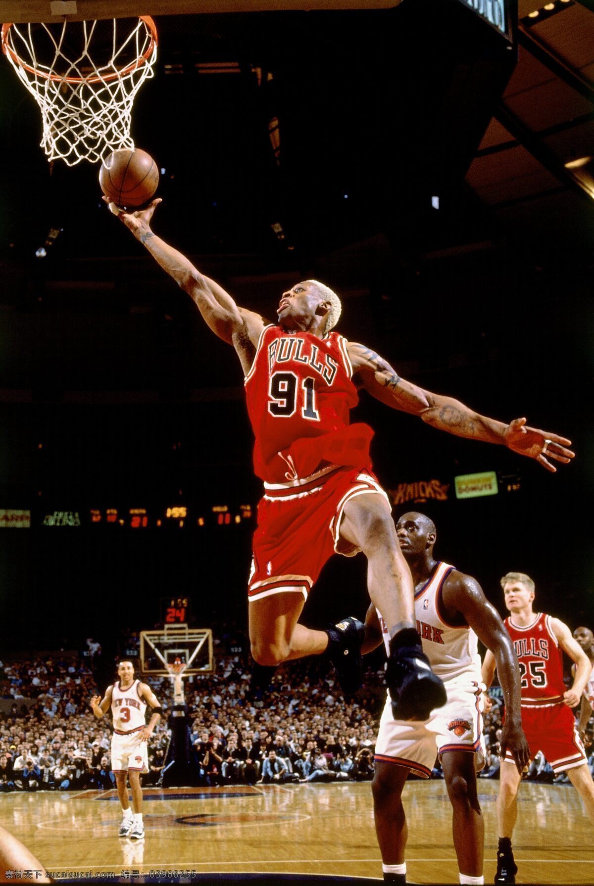 nba nba球星 公牛 黑人 篮球 明星偶像 球星 人物图库 罗德曼 丹尼斯罗德曼 dennis rodman 大虫 篮板王 91号 大前锋 pf 芝加哥 运动 体育 psd源文件
