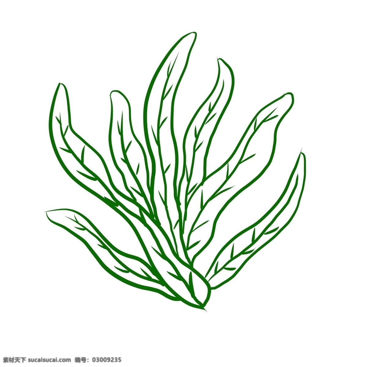 世界 海洋 日 手绘 蓝色 海草 世界海洋日 手绘海草 绘画 一株海草 童趣 蓝色海草