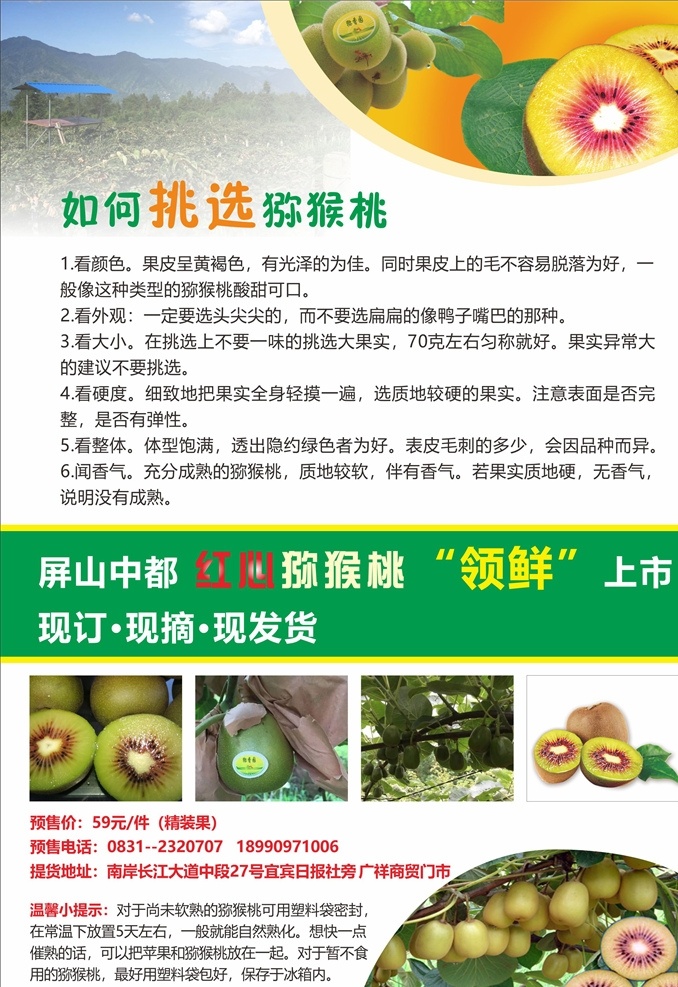 红心猕猴桃 红心 猕猴桃 上市 新鲜 可口