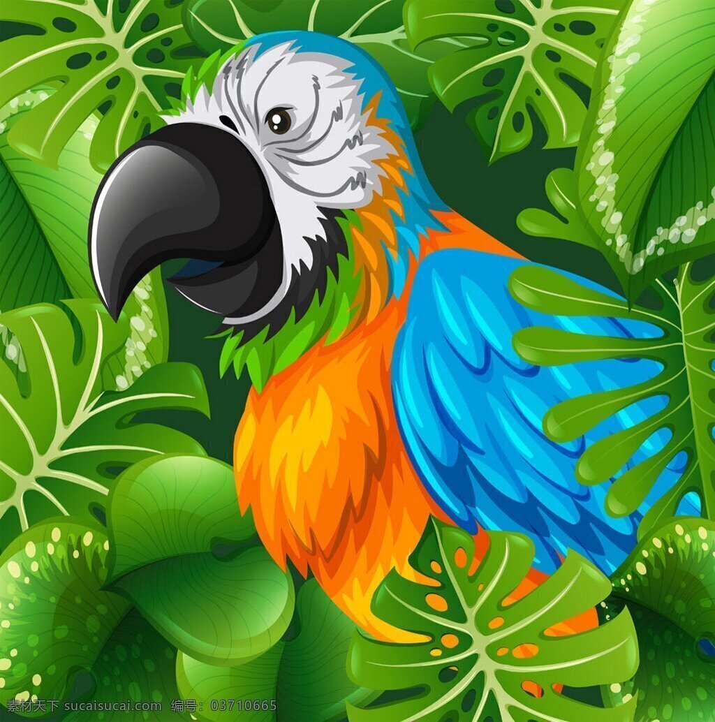 丛林 中 的卡 通 鹦鹉 动物世界 卡通 3d小鸟 鸟类 巨嘴鸟 空中飞鸟 生物世界