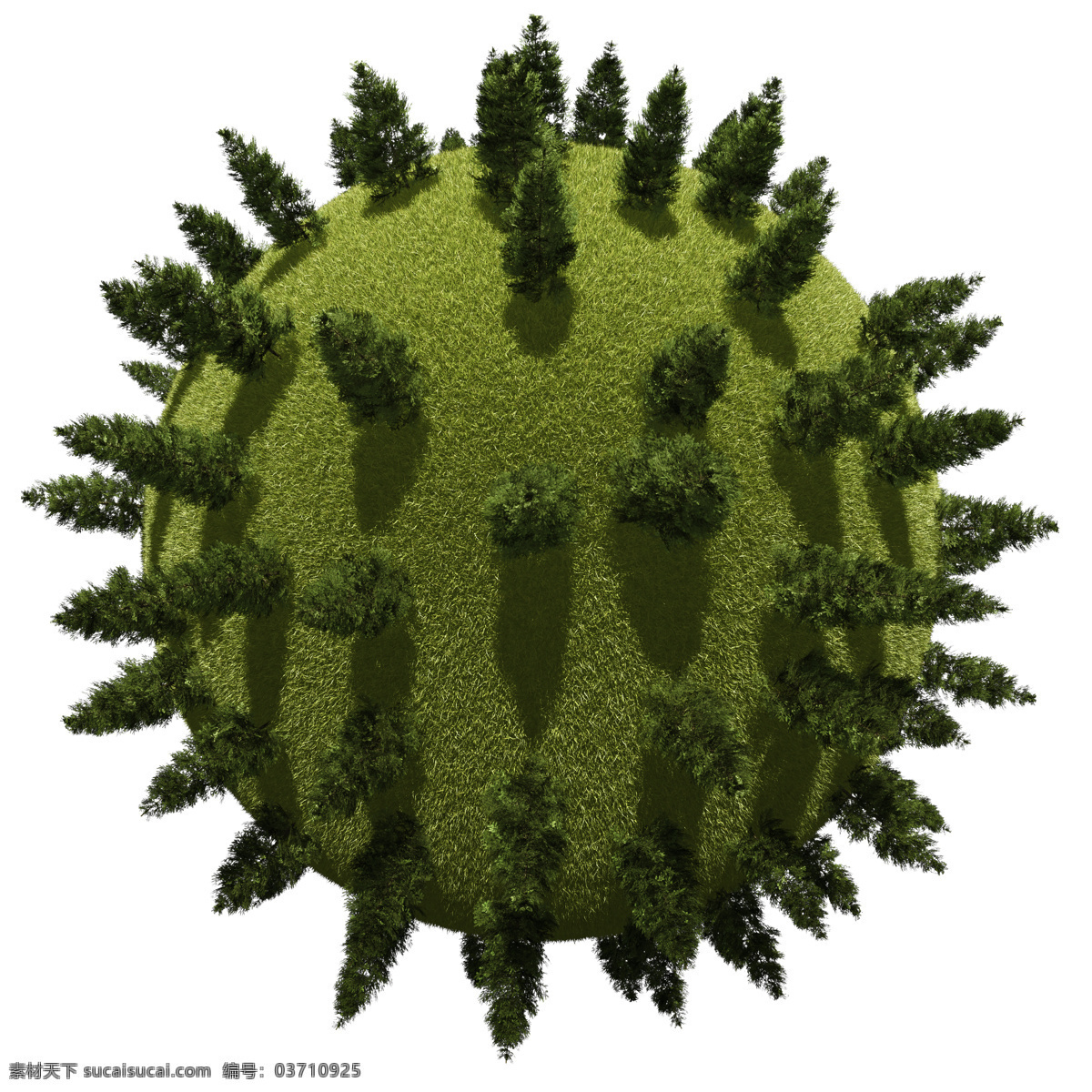 圆形 球体 上 大树 松树 星球 环保 植物 创意图片 其他风光 风景图片