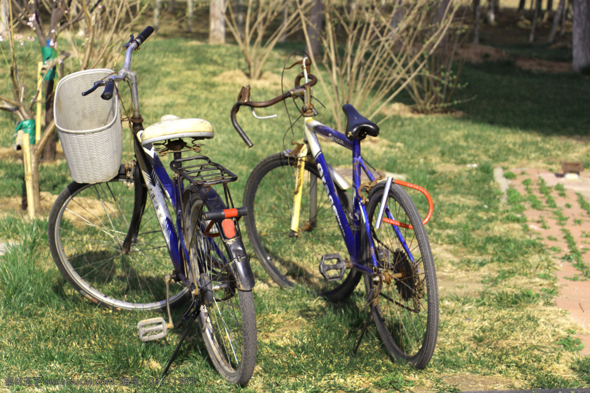 回忆自行车 自行车 回忆 记忆 天津 原产地 一对 鸳鸯 旅游摄影 国内旅游 黄色