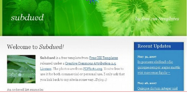 柔和 绿色植物 网页模板 柔和绿色植物 网页素材