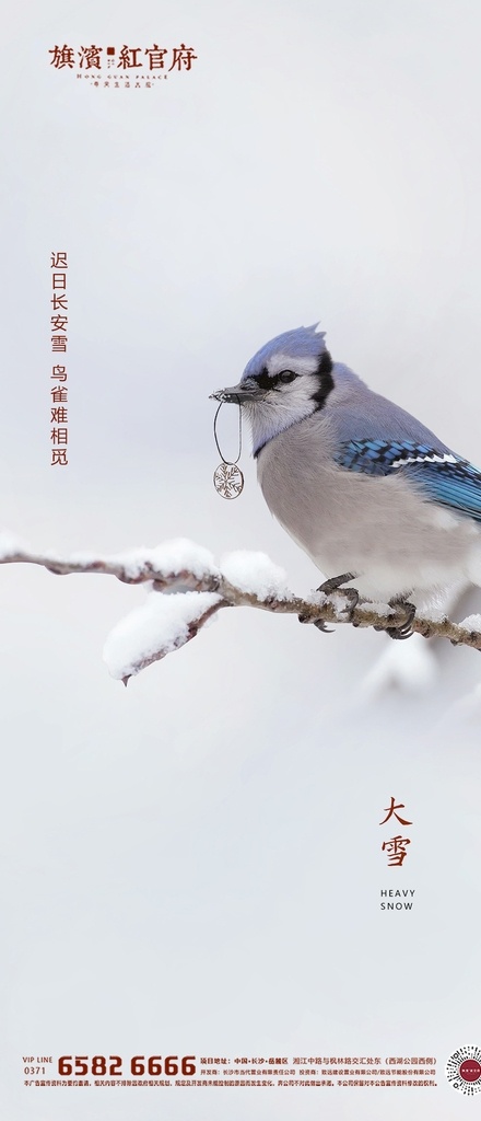 地产 质感 大雪 节气 海报 小雪 雪景
