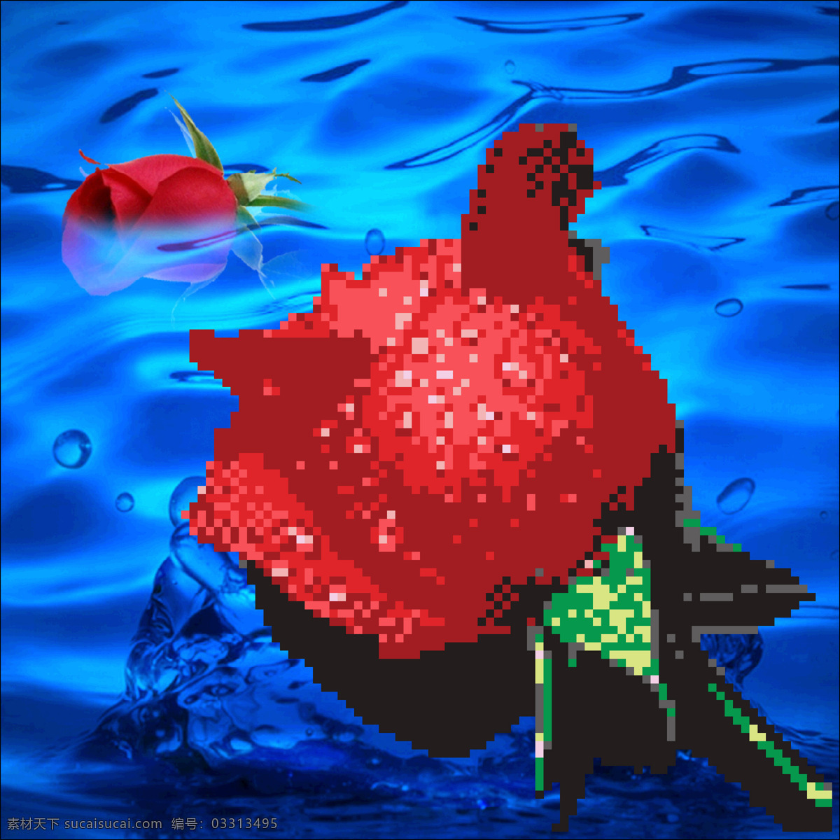 滴水玫瑰 红色玫瑰 玫瑰花 露水 河水 湖水 蓝色