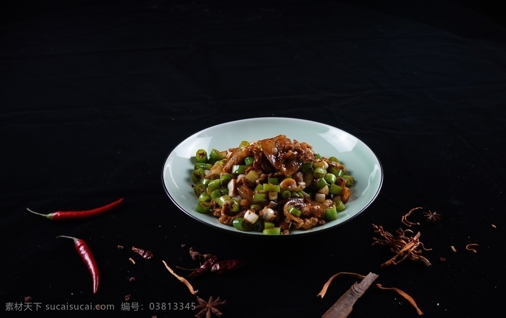 辣椒炒肉图片 辣椒 肉 中餐 特色 蔬菜 餐饮美食 传统美食