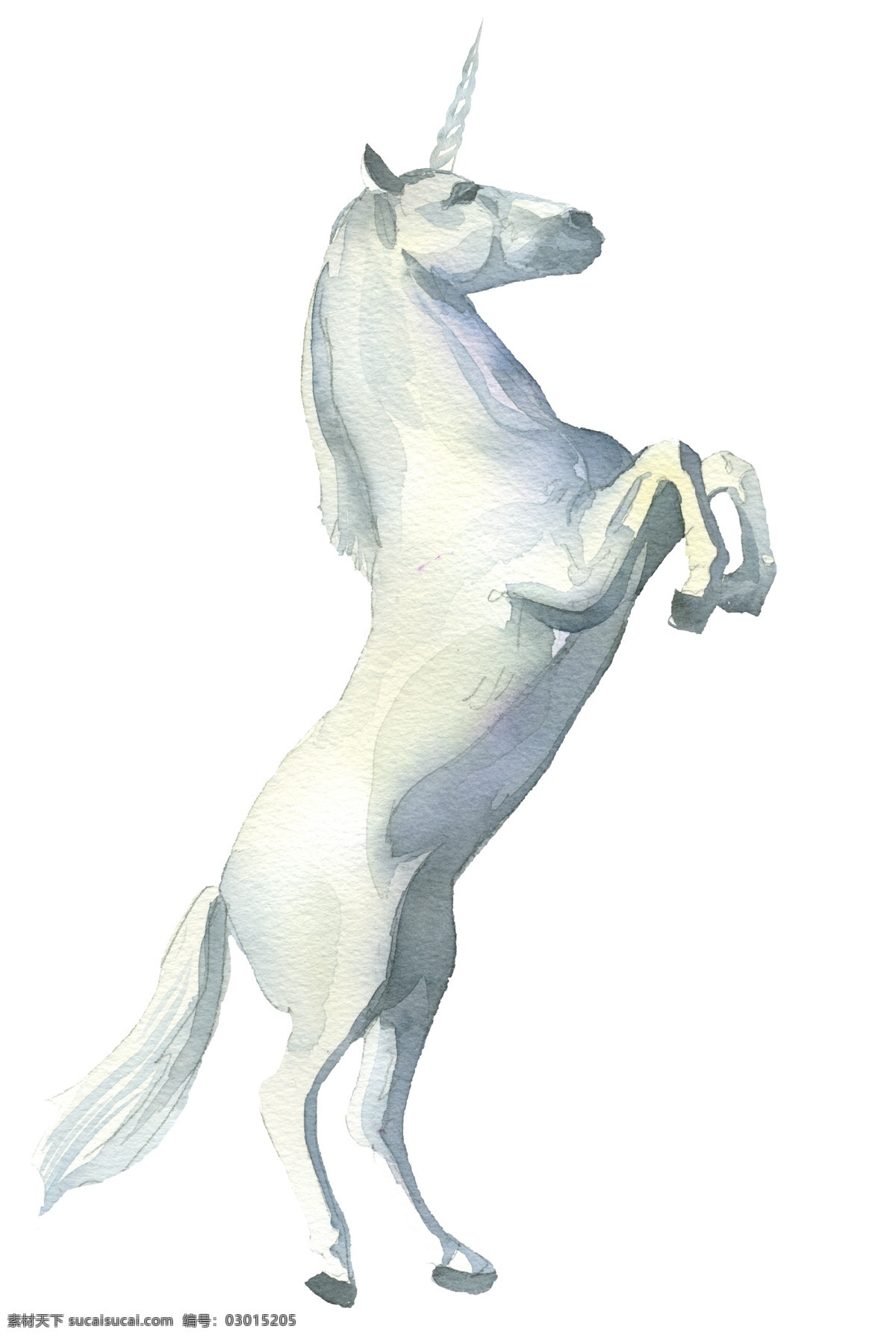 素描 手绘 独角兽 飞马 插画 生物世界 野生动物