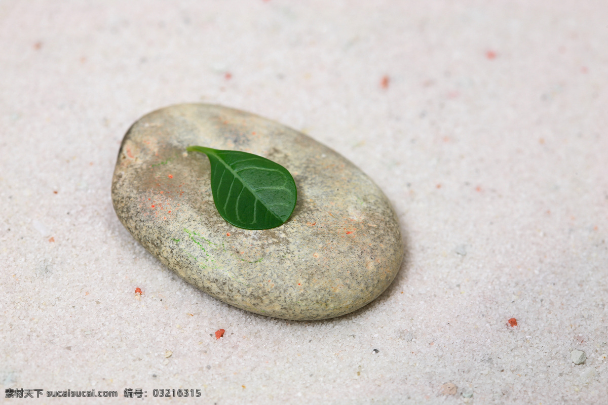 椭圆形 石头 绿叶 按磨石 砭石 鹅卵石 石块 叶子 花草树木 生物世界