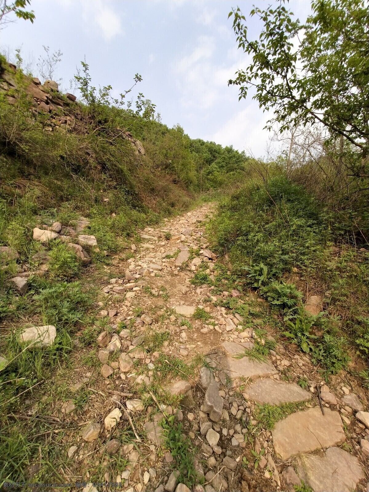 乡村小路 风景 路 树 山林 自然景观 自然风景