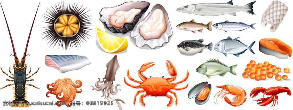 写实 新鲜 海鲜 食 材 插画 龙虾 海洋 生物 罗非鱼 螃蟹 鱿鱼 鱼子酱