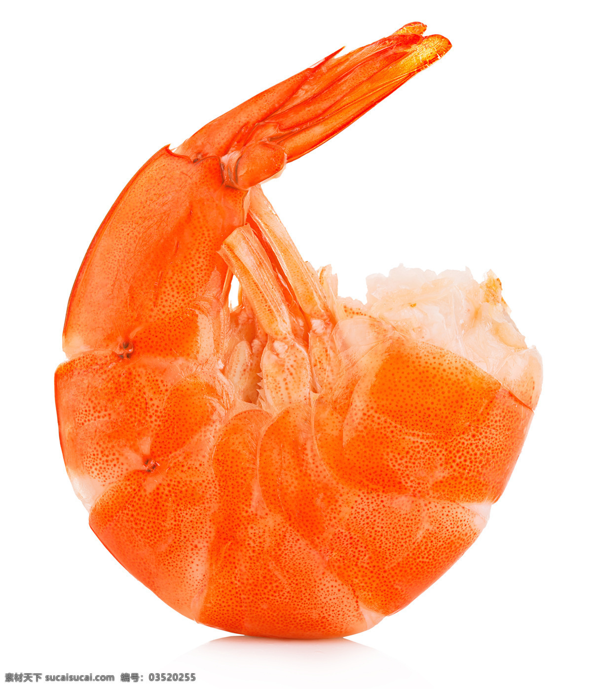 大虾 红虾 海鲜 海虾 蒸虾 虾 生物世界 海洋生物 餐饮美食 西餐美食