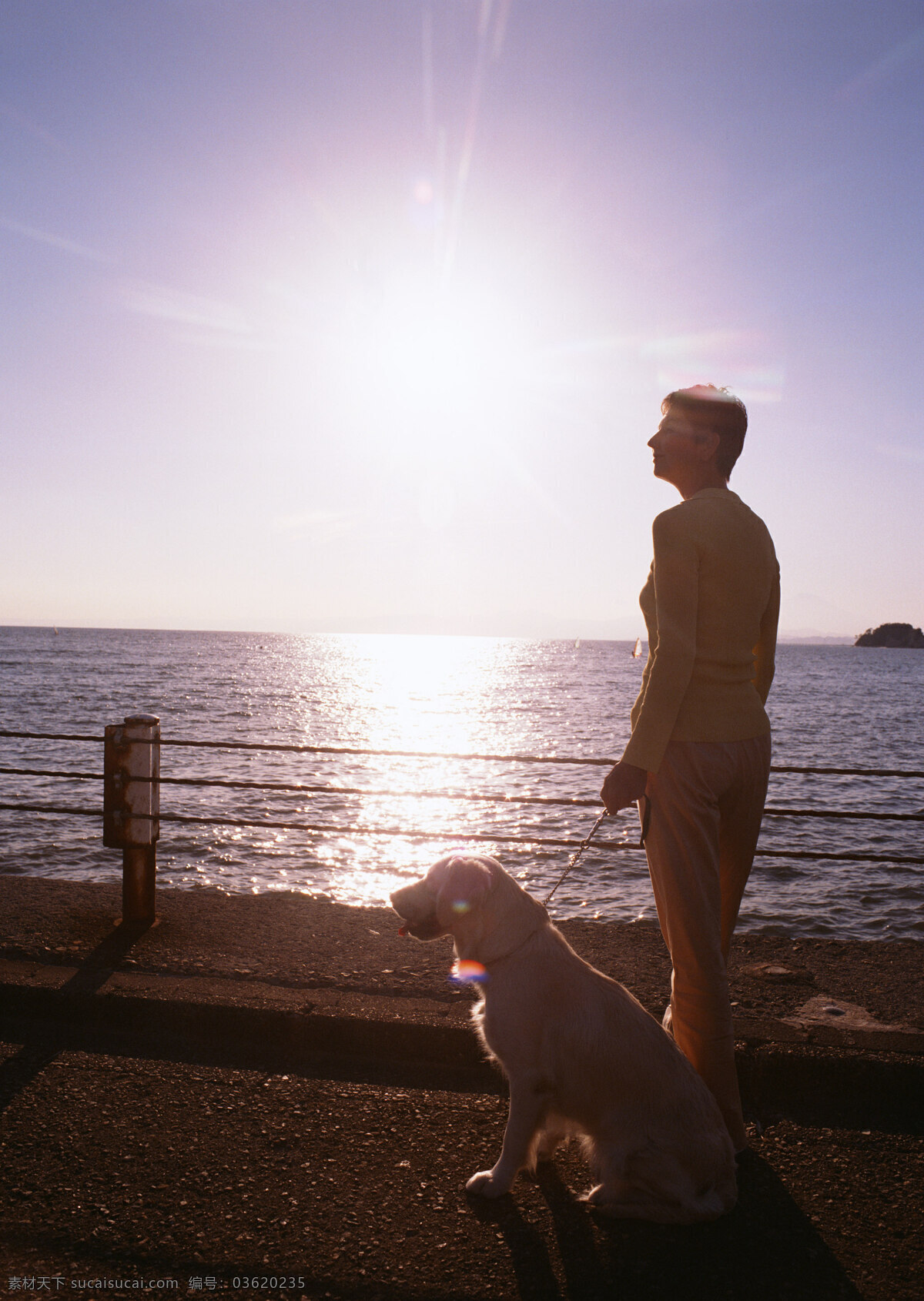 海边 夕阳 下 妇人 狗 大海 妇女 海滩 遛狗 落日 女性 人物 牵狗 人物图库 老年人物 老年 生活照 摄影图库 psd源文件