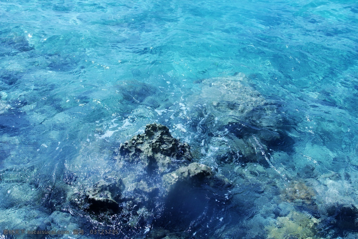 清澈 海水 珊瑚礁 蓝色海水 珊瑚 生物世界 海洋生物