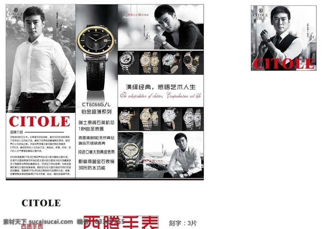 西腾手表 西腾 焦恩俊 手表 表 citole 柜台 海报 矢量