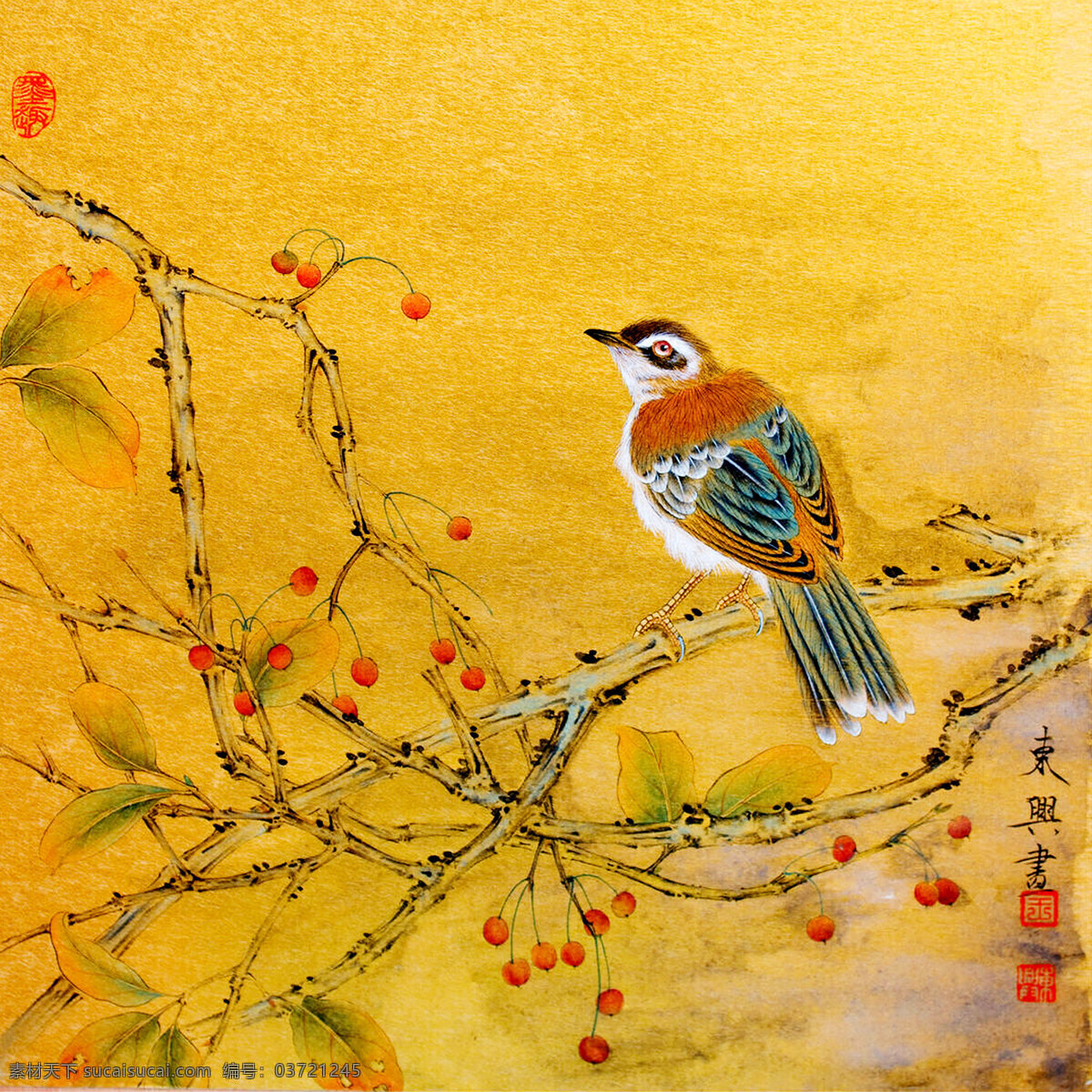 画眉秋色图 美术 绘画 中国画 工笔画 动物画 画眉 果树 红果子 秋色 印章 国画艺术 国画集25 绘画书法 文化艺术