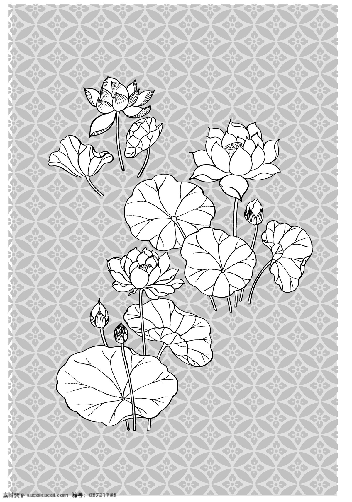 矢量 荷花 河水 白描 河 荷 花 花骨朵 线 叶子 水 描线 圆圈 矢量图 日常生活