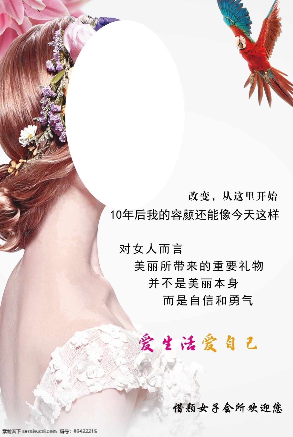 美丽 进行 到底 美女 鹦鹉 婚纱 美容 发形