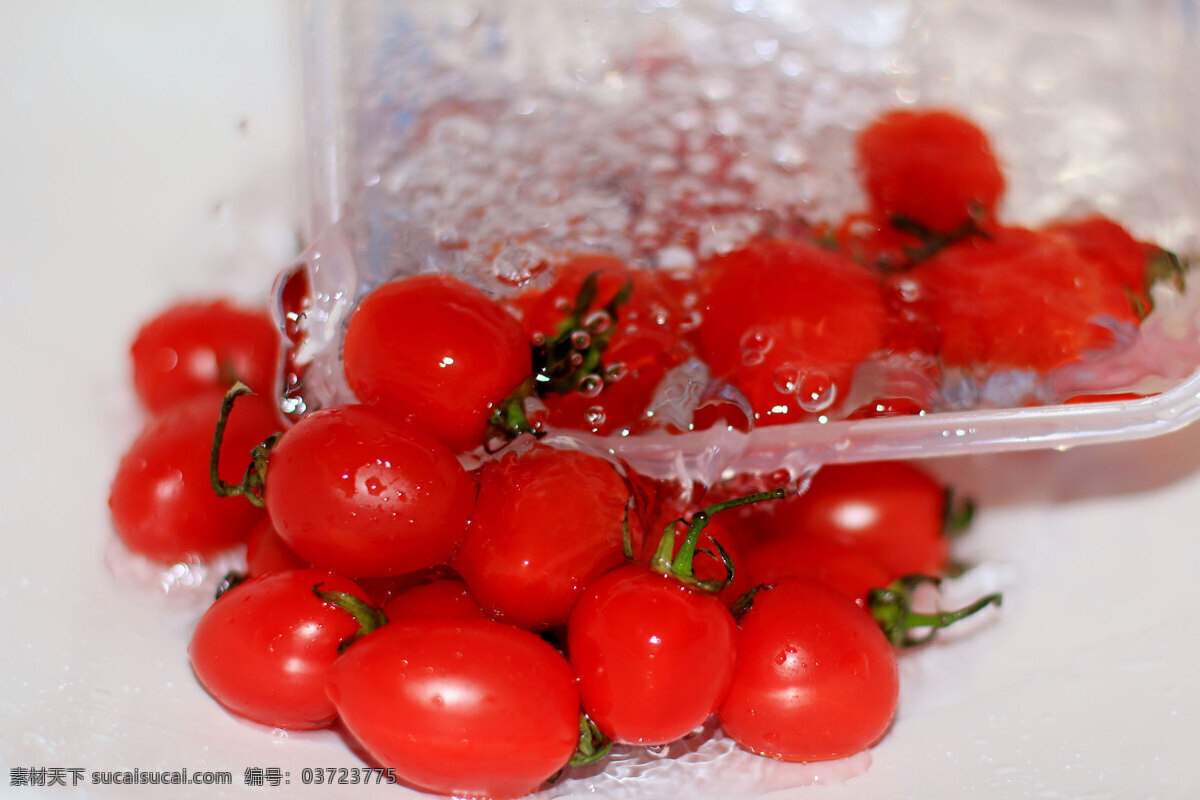 小 番茄 生物世界 水滴 水果 新鲜 小番茄 洗水果 psd源文件