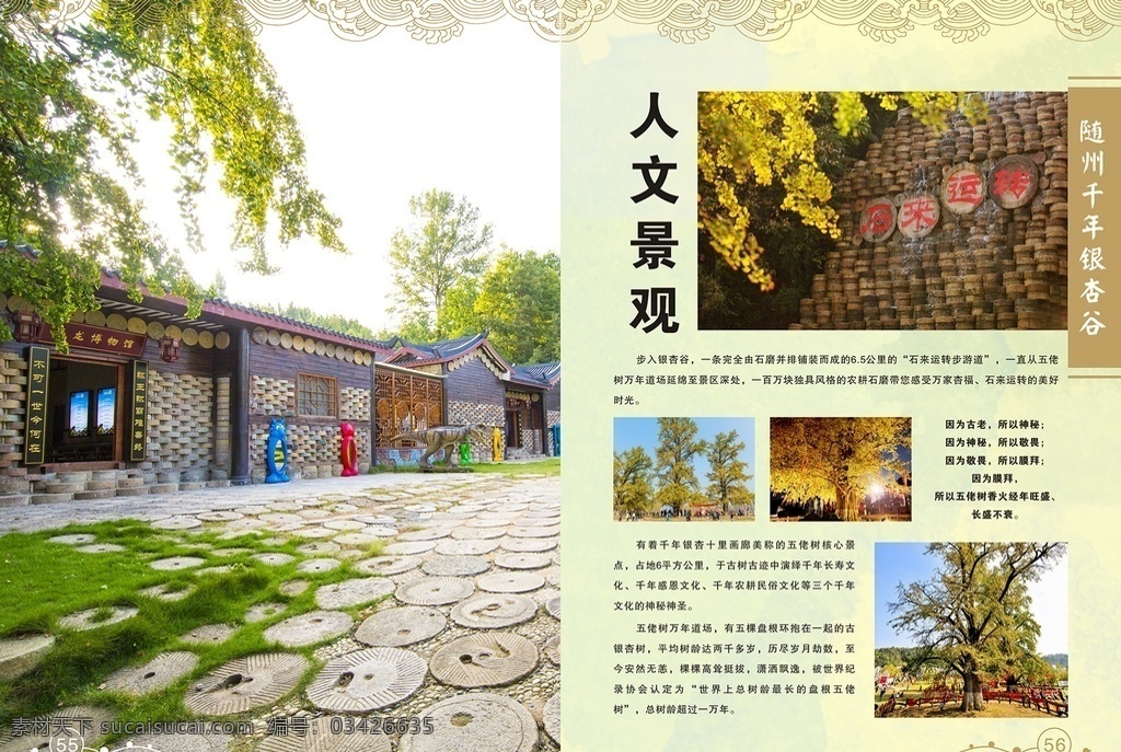 景区宣传手册 景区旅游 景区旅游手册 景区宣传 旅游手册 宣传手册设计 画册设计 旅游公司手册 旅游公司画册 银杏画册 银杏手册 银杏画册设计 景观画册 旅游画册设计