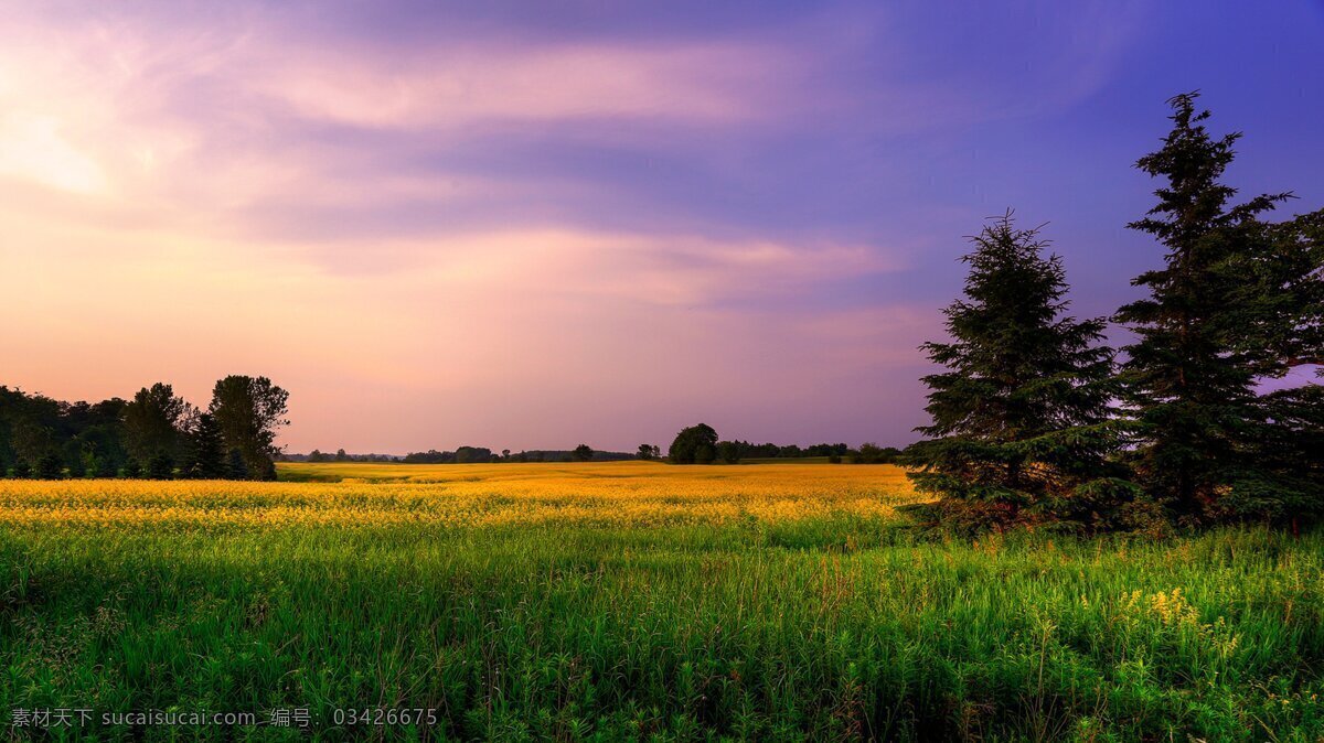 风景图 手机壁纸 电脑壁纸 壁纸 高清壁纸 风景 自然风景 大自然 高山 流水 高山流水 河流 湖泊 季节 傍晚 黄昏 日落 大海 建筑 城市 草地 草原 天空 蓝天白云 动物 野兽 海面 动漫 漫画 动画 花朵 草丛 花丛 桥 大桥 小麦 庄家 花海 沙漠 雪景 树叶 梯田 梦幻 秋天 高原 自然景观