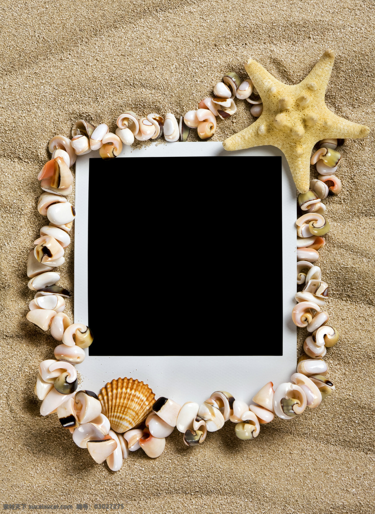 贝壳 边框相框 创意 底纹边框 海边 海滩 海星 星 相片 设计素材 模板下载 海星贝壳相片 沙子 照片纸 相框 五彩贝壳 金色沙滩 户外 组合 分辨率 psd源文件
