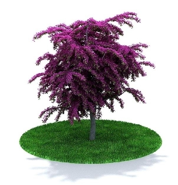 绿色 树木 三维 模型 3d 精美 3d植物模型 绿色树木 绿色植物 精美树木 3d树木模型 三维建模 其他模型 3d设计模型 源文件 max